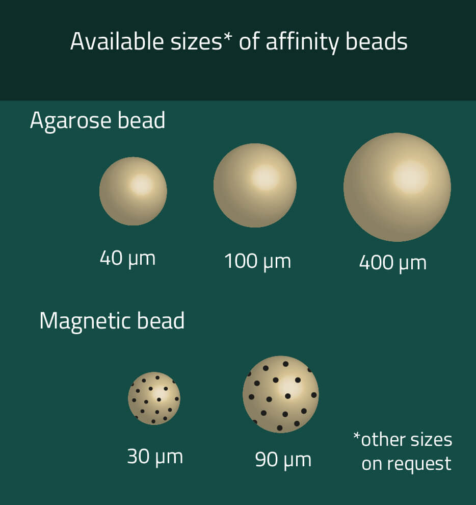 Agarose bead sizes in the Cube Biotech Shop